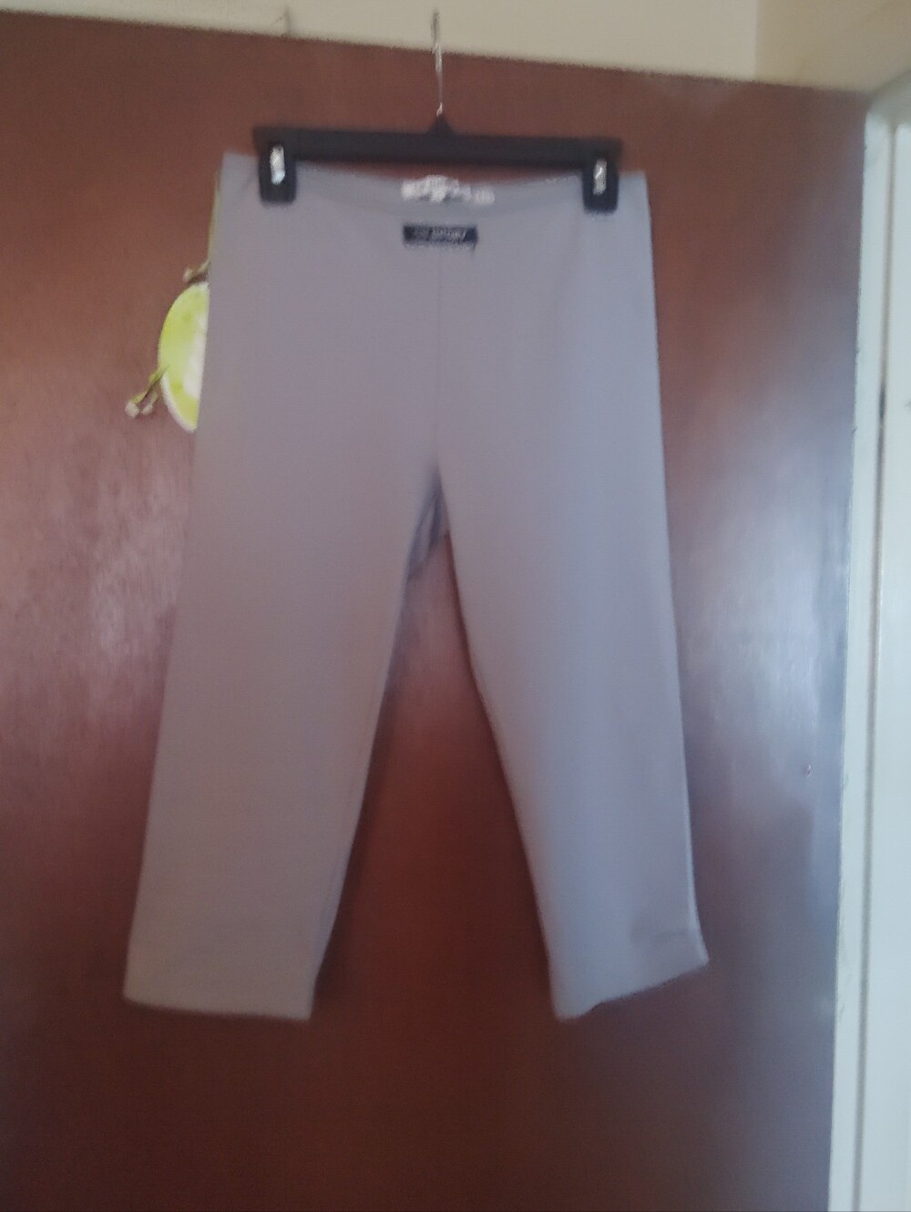 DAIRY BOY Sport Wag Capri - Size Medium 🆕 - Picture 4 of 14
